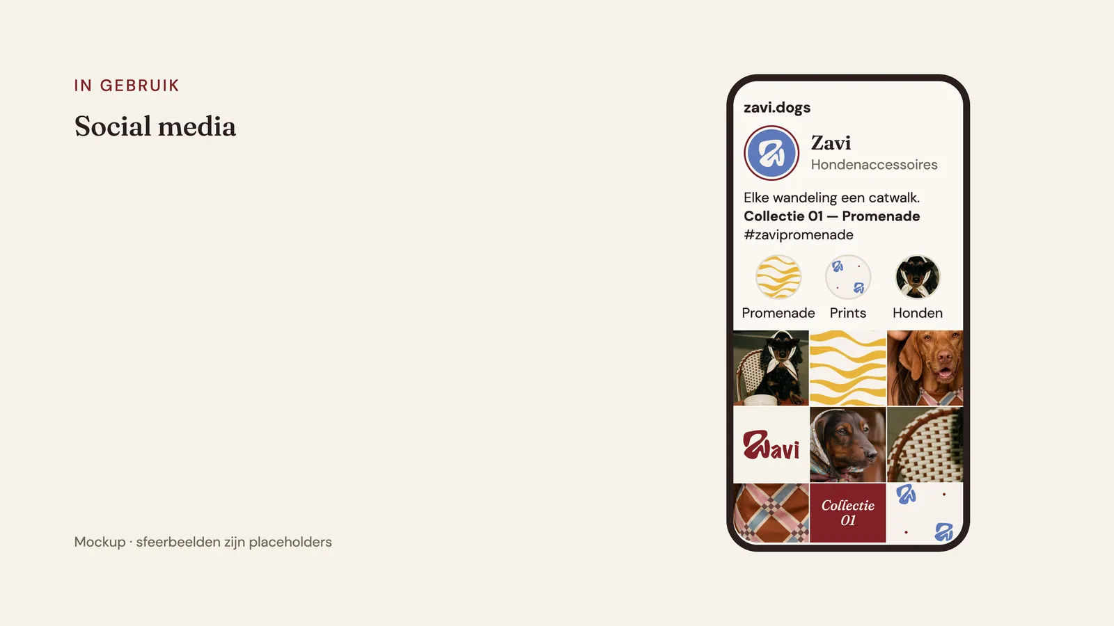 Zavi — Social media